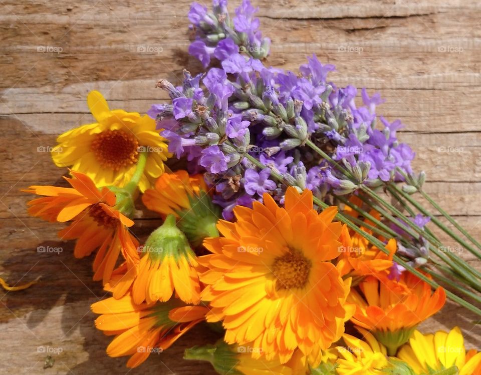 Summer flowers, lavender and marigold