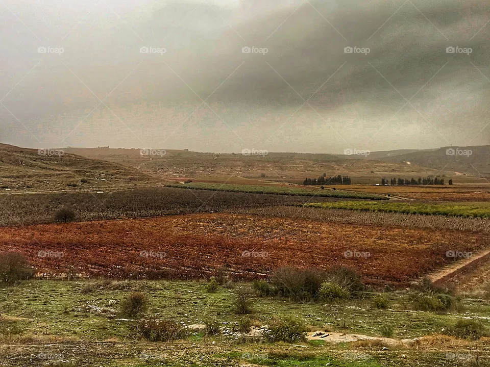 Beautiful landscape.