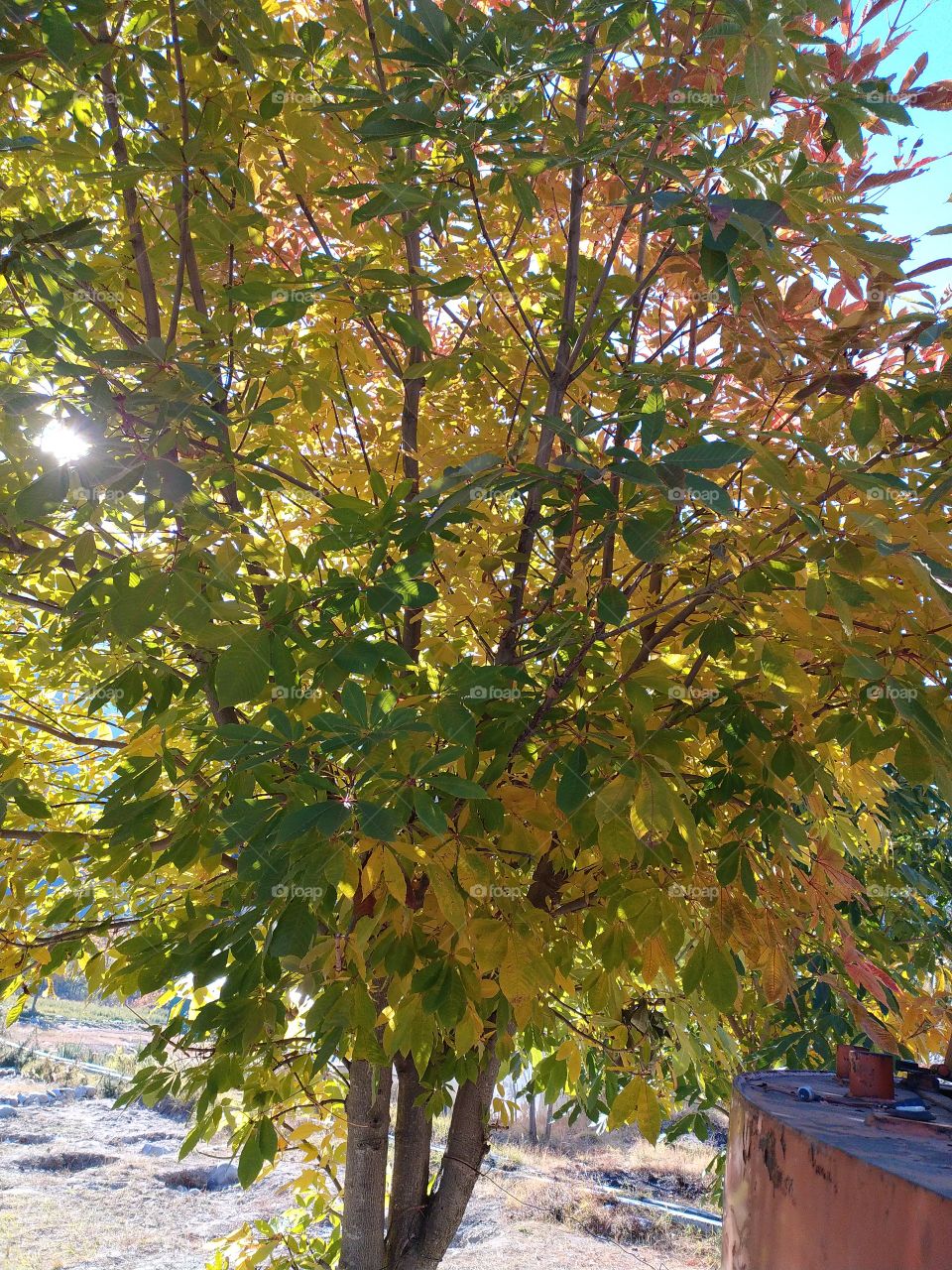Wonderful view of natural beauty en route to Gangotri in the great Himalayas