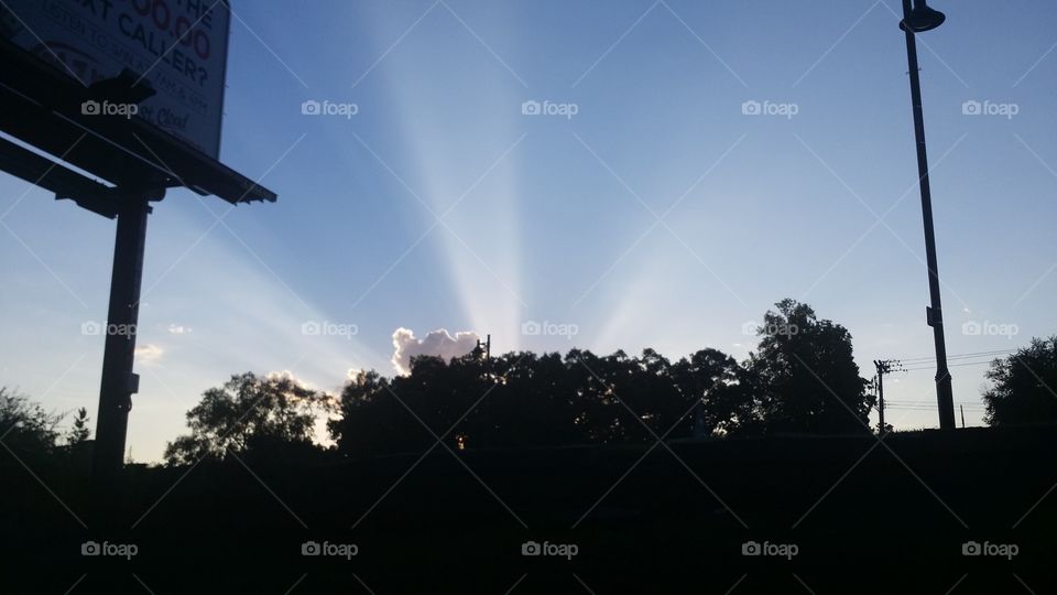 light radiating out over the tree line
