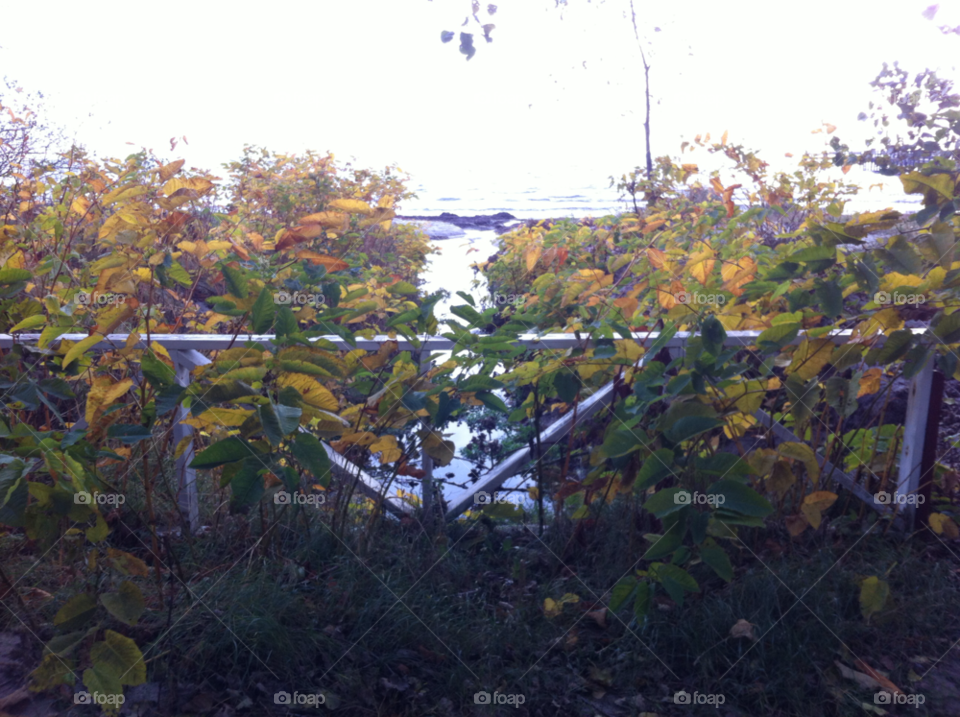 sea autumm by sommar06