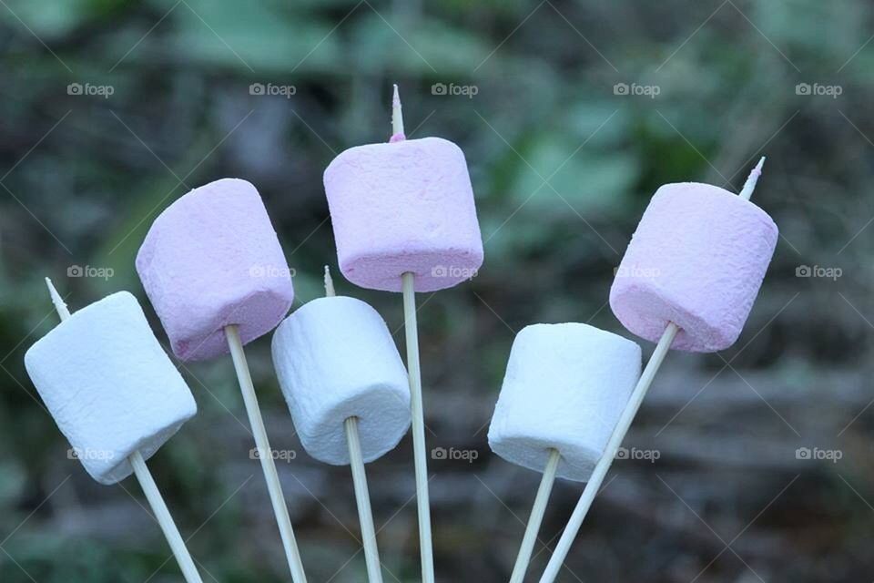 Marshmallow Sticks