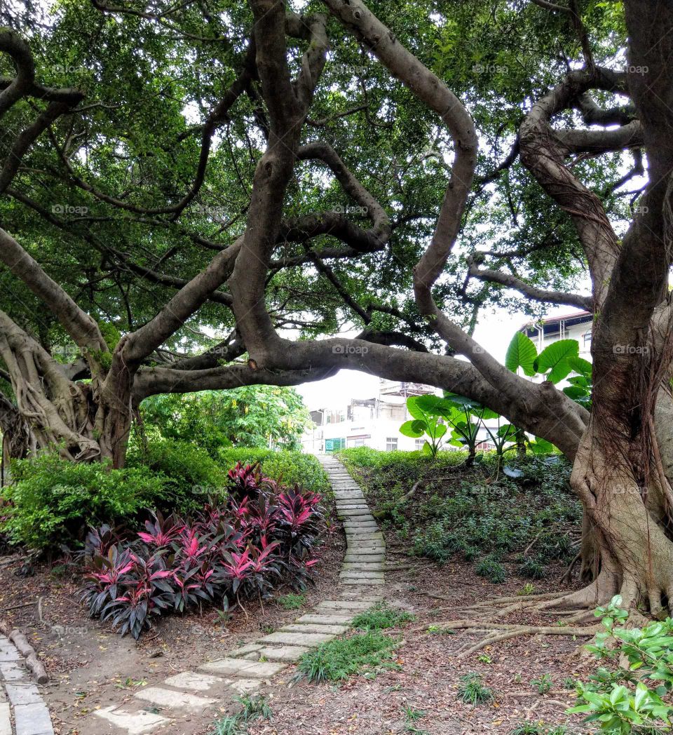 your local treasures: park surrounding the National Museum of Natural Science, beautiful trail.