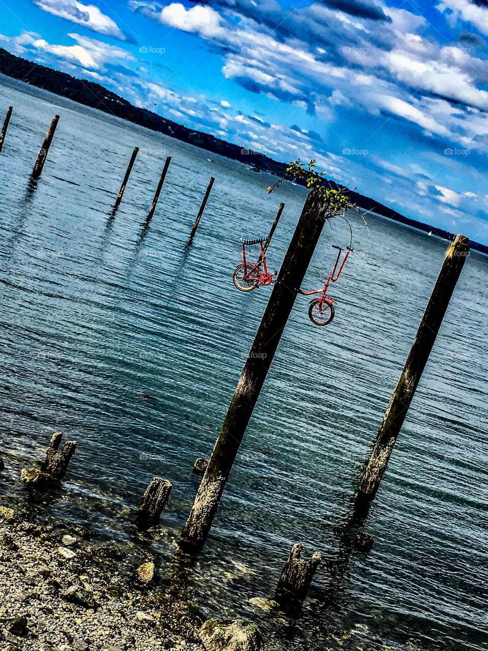 Tacoma Waterfront Quirky 