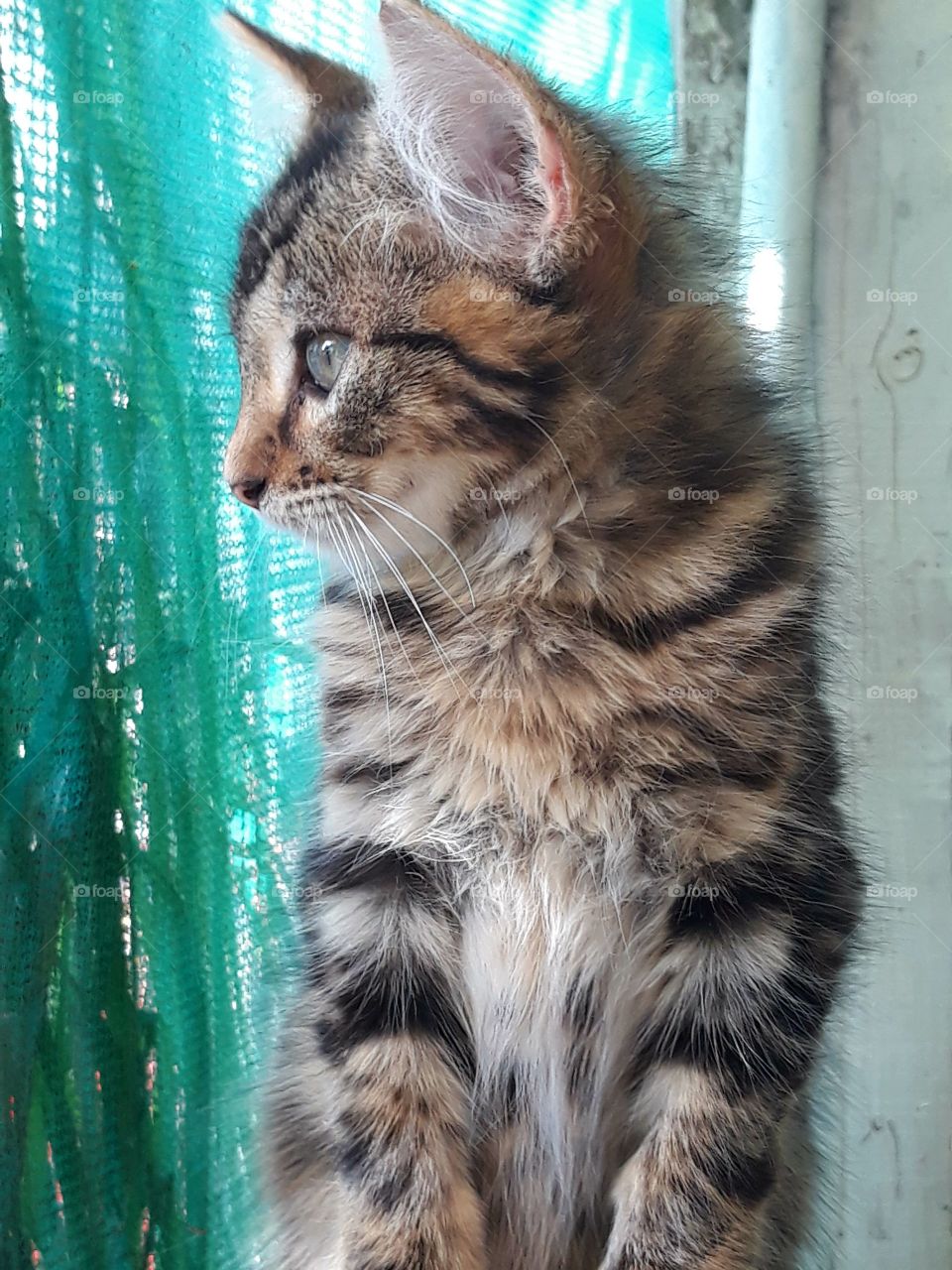 Just looking what's going on