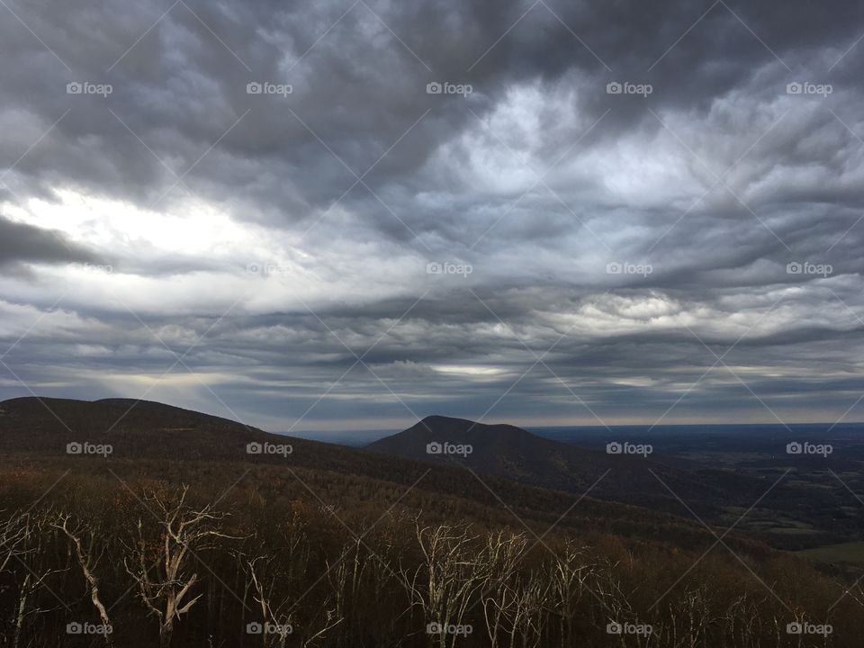 Grey day in Shenandoah National Park