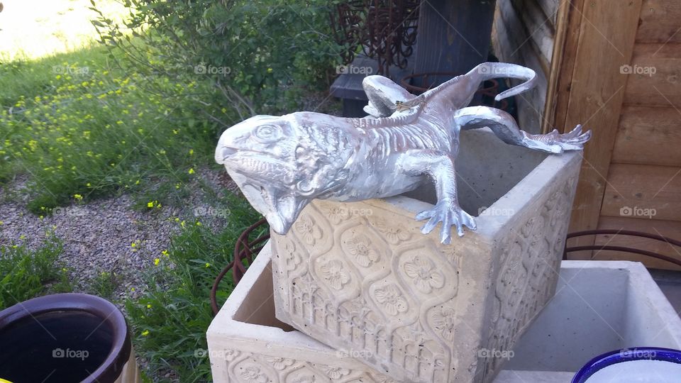 the grasshopper is riding the silver iguana