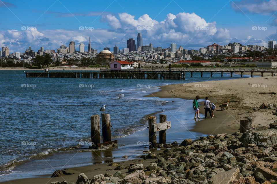 View of the San Francisco skyline from Crissy Field beach and the fishing pier by the warming hut