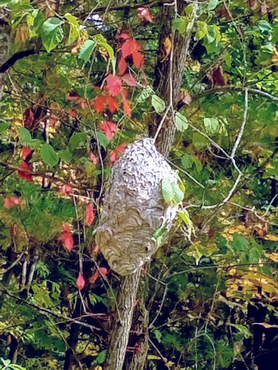 Driving the Back Roads and enjoying everything around us