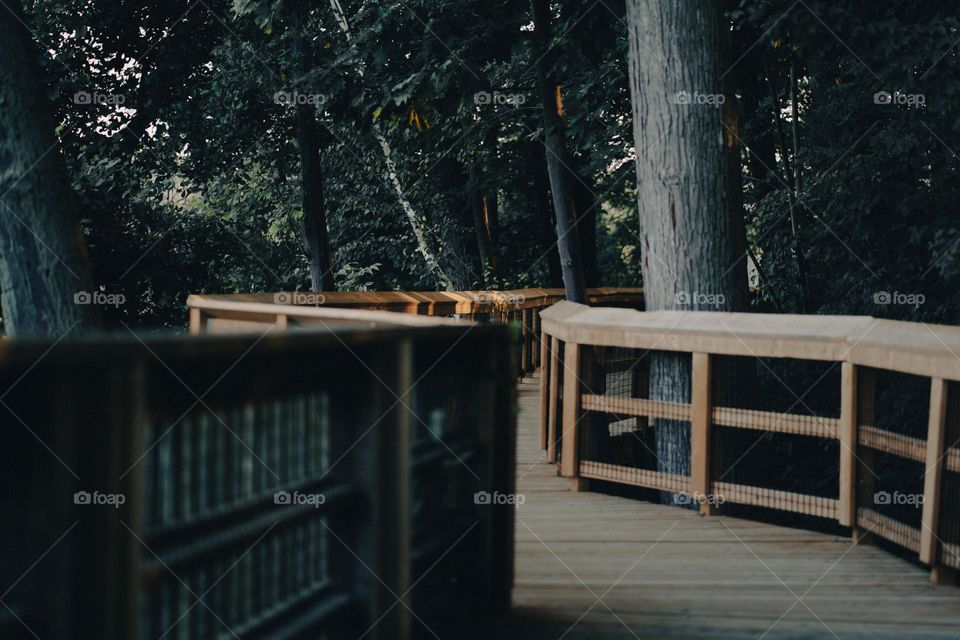 Looking at nature and photography is the best.