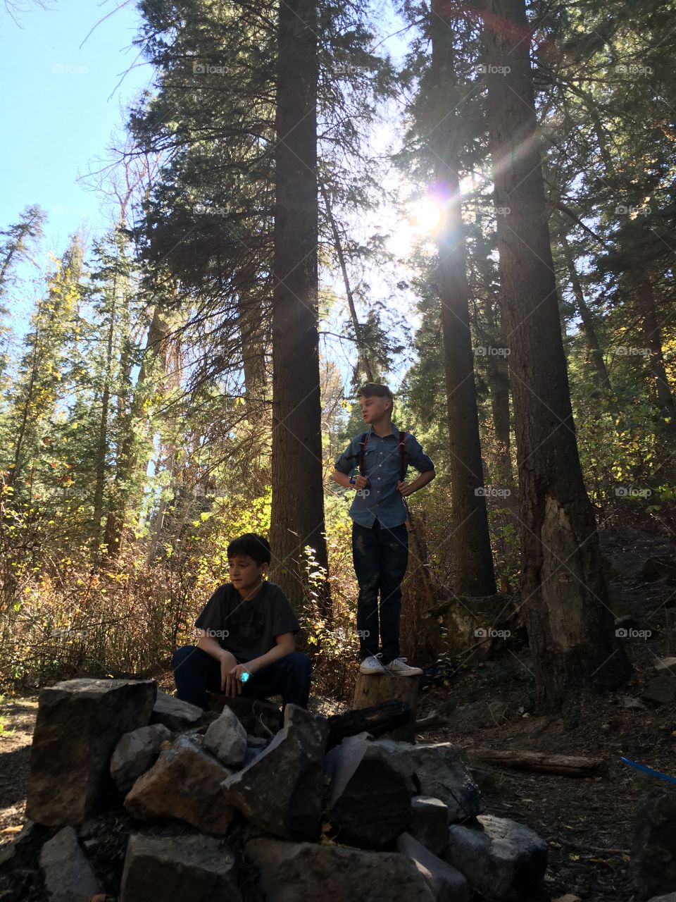 Teenage brothers near trees