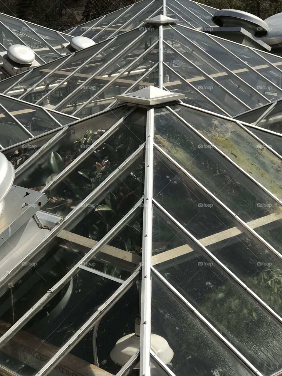 Utilizing the sun for plant growth in the greenhouse 