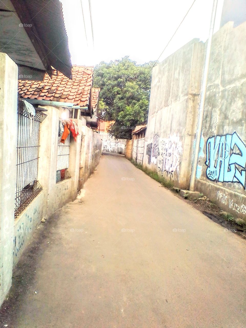 There are graffiti on the dividing wall on the new road near the factory