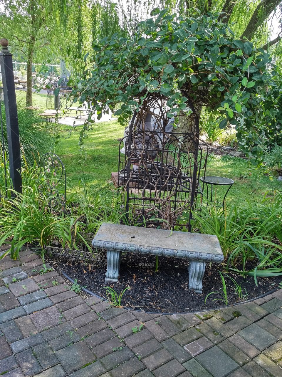 Garden, Seat, Bench, No Person, Wood