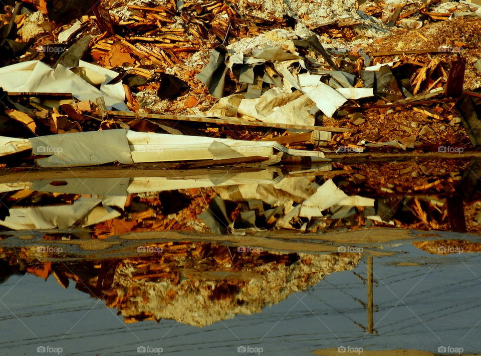 reflection on society