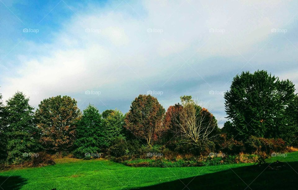 Just chilling out back