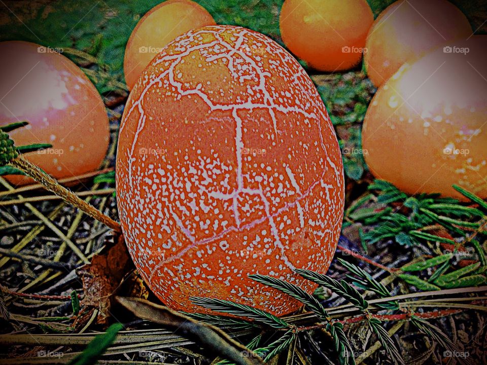 Crackled orange egg.