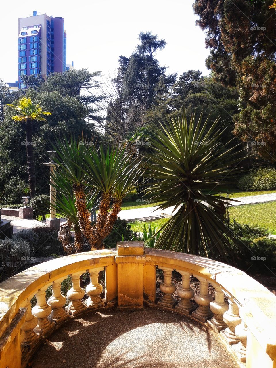 No Person, Outdoors, Travel, Architecture, Tree