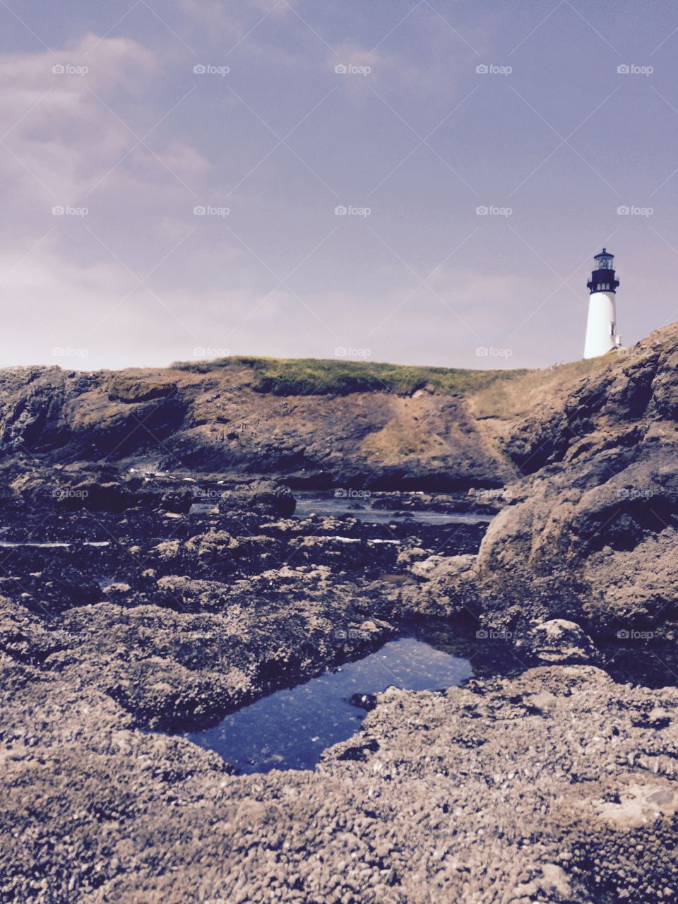 Yaquina Head Lighthouse. A different angle of the Yaquina Head lighthouse in Oregon.  The tide pools are amazing. 