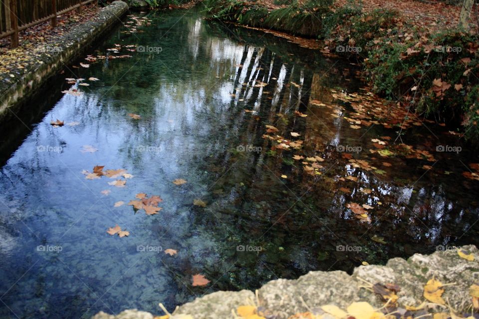 A photo where the river can reflect the clouds, the autumn leaves, the trees. An excellent angle to focus on various elements of nature.