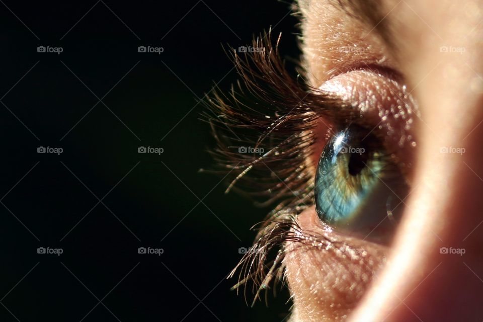 female blue eye close up on black background