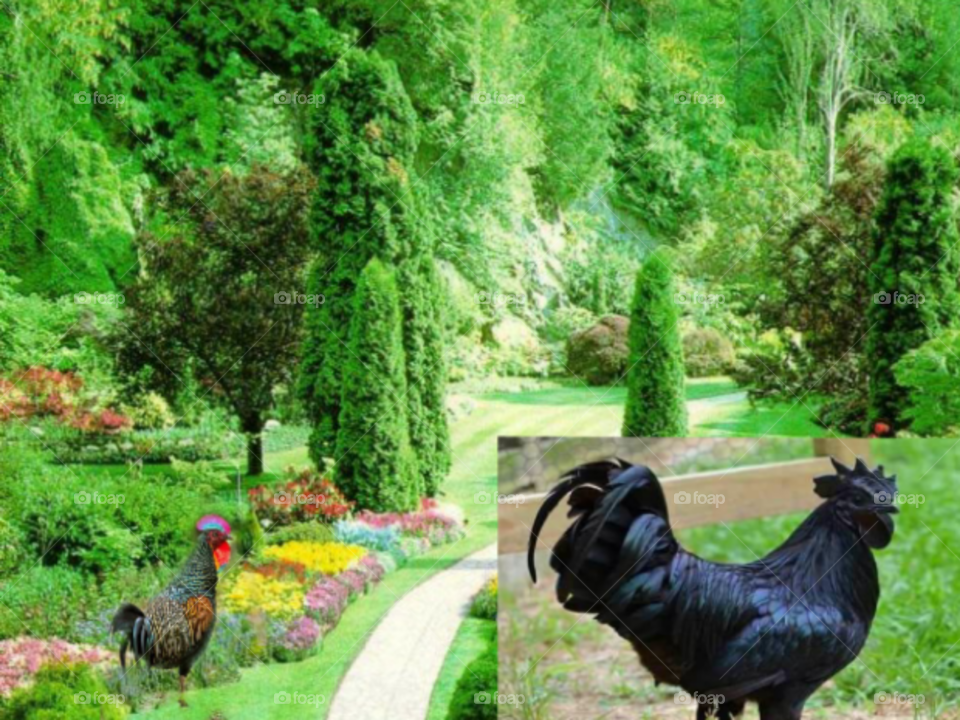 eg. The Crown is a nice place and I would have thought it would have been ideal.