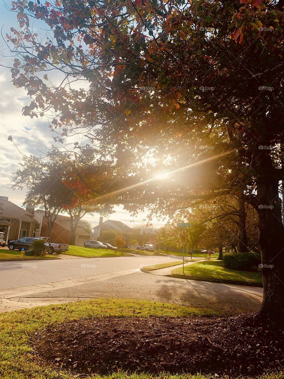 Afternoon sun