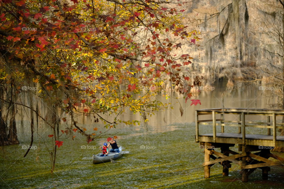 Caddo uncorked 
December paddle
Mill pond