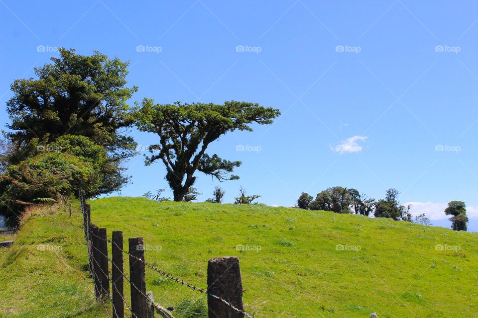 Summer tropical landscape.  Beautiful green hills with lush tropical vegetation.  Costa Rica