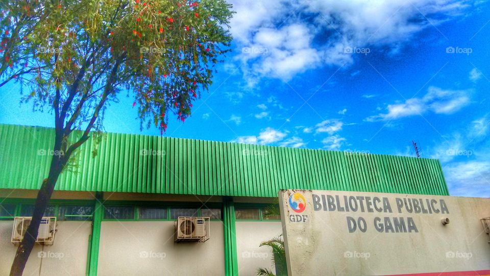 biblioteca pública gama