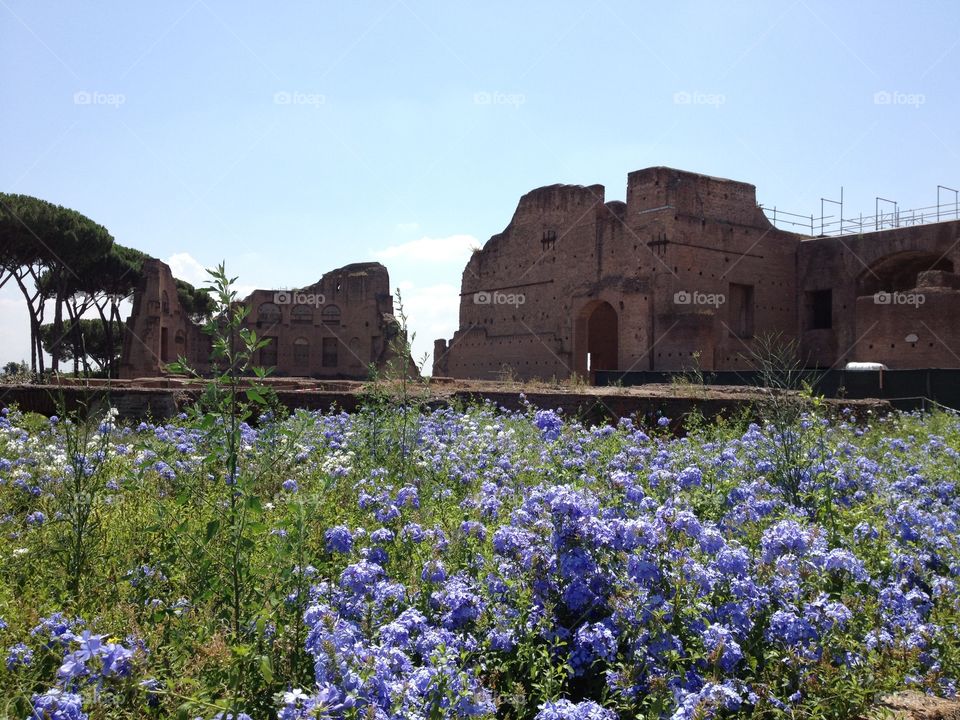 Ruins of the ancient Roman palace