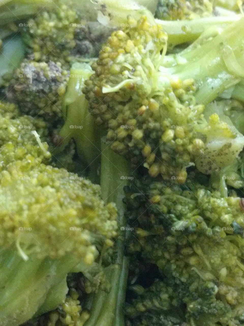 Broccoli