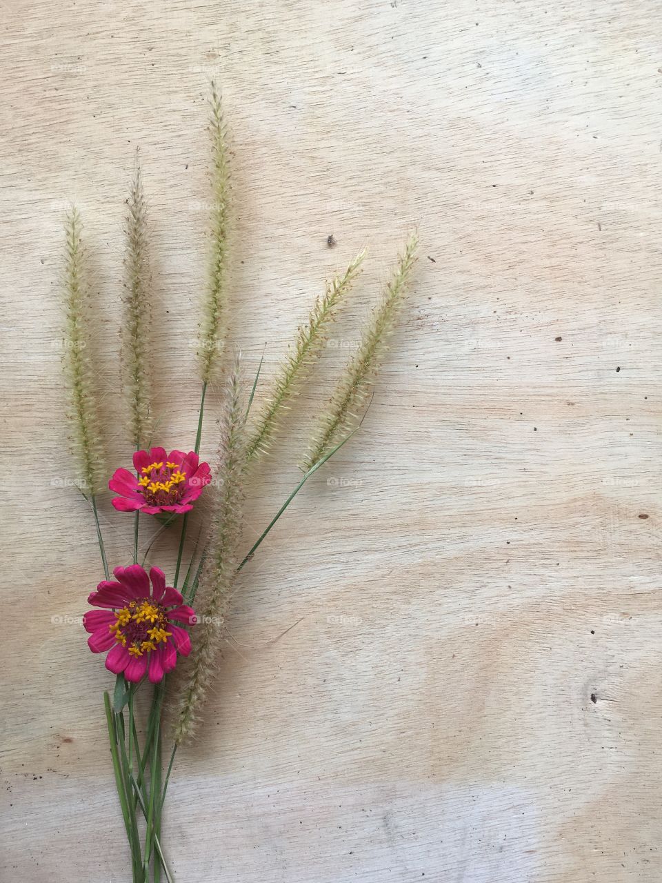 Zinnia and grass flower on wood floor
