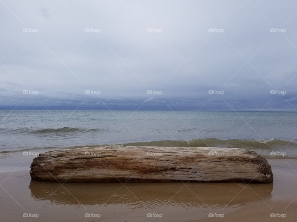 Driftwood at Lake Michigan