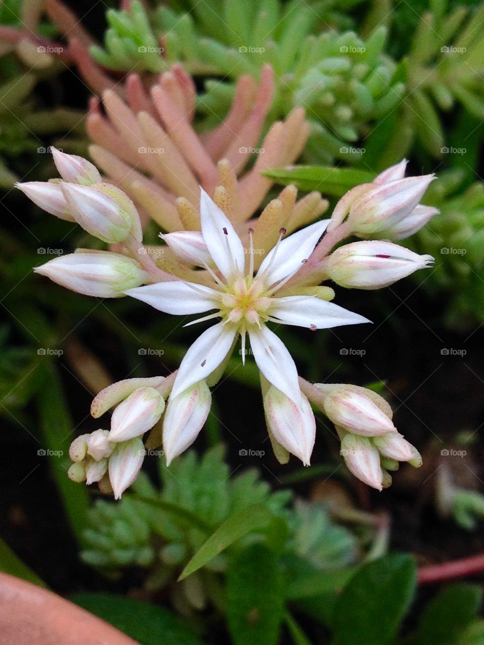 Divine flowers decoration just what nature can offer
