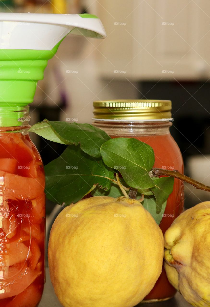 Quince fruit foreground and on the branch, fresh homemade quince preserves and sauce background with blurred kitchen also background 