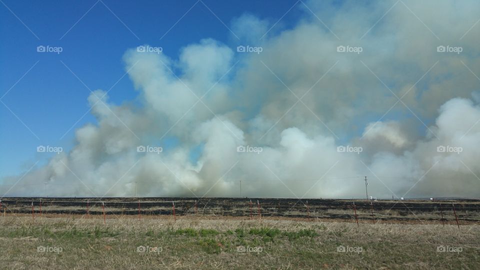 Smoke cloud. Burning grass