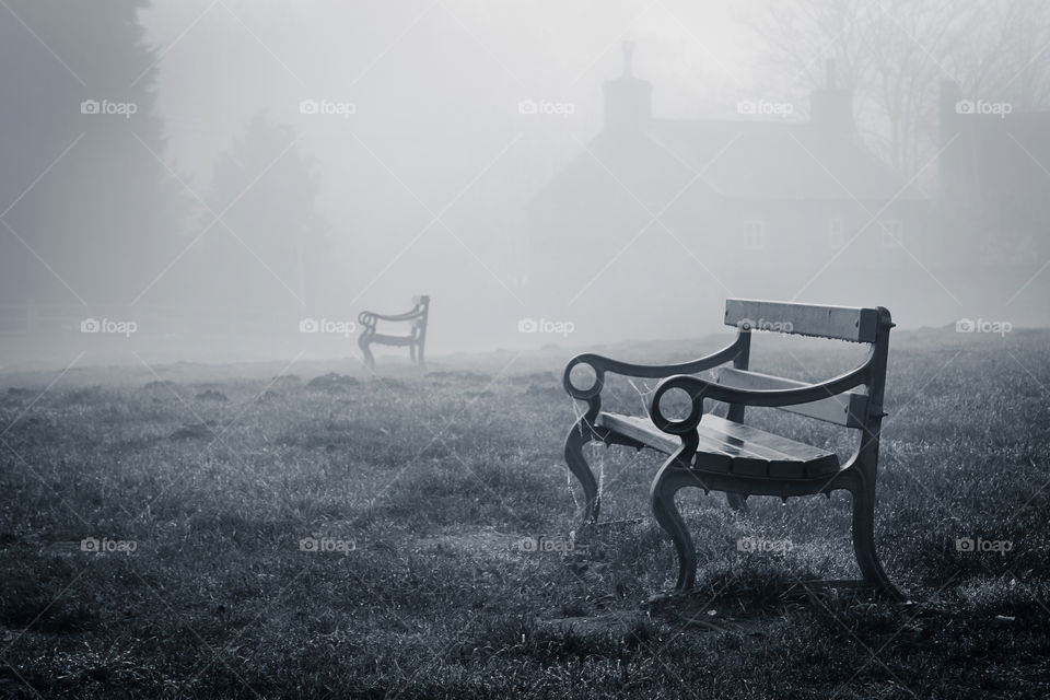 Park benches in fog