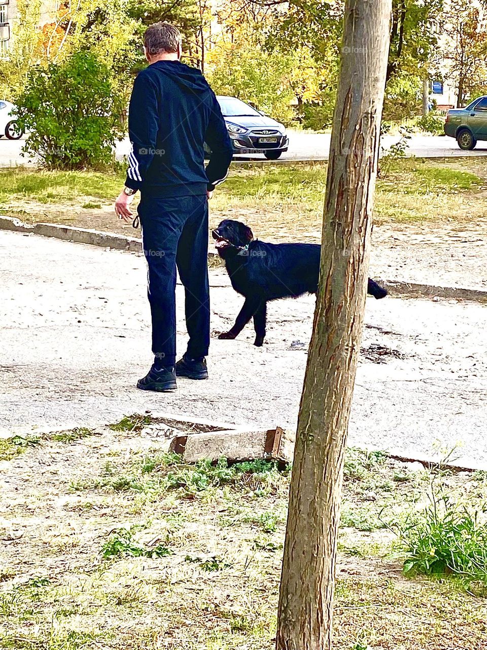 #dog #playing
#walk #owner #