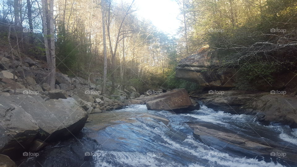 Creek Stream