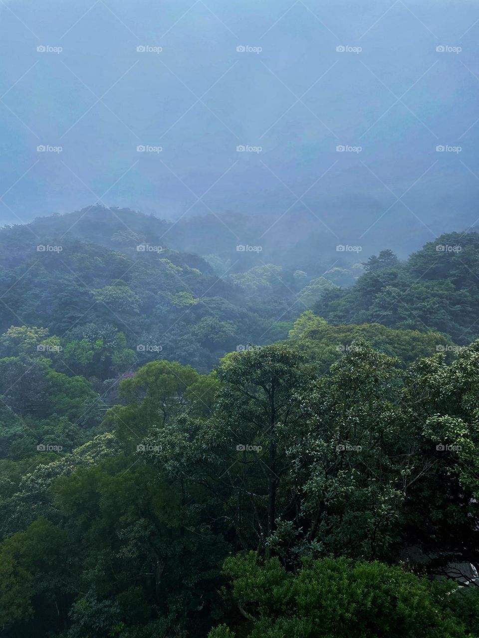 surrounded by clouds