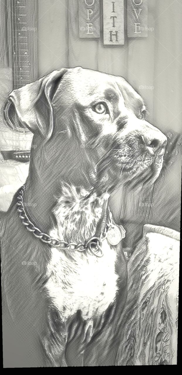 handsome  watching  chain eyes