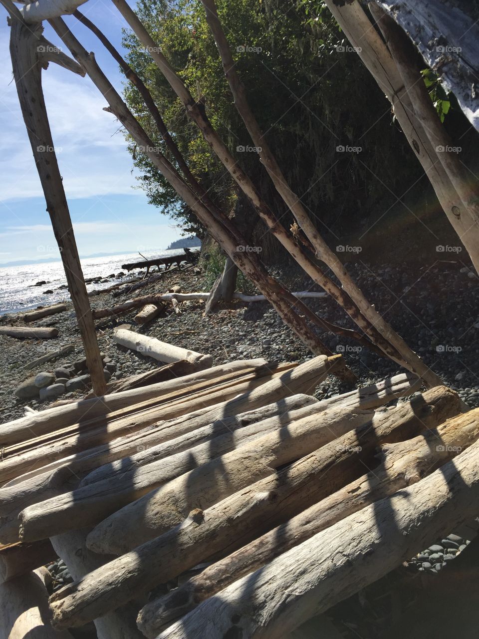 Driftwood shelter 