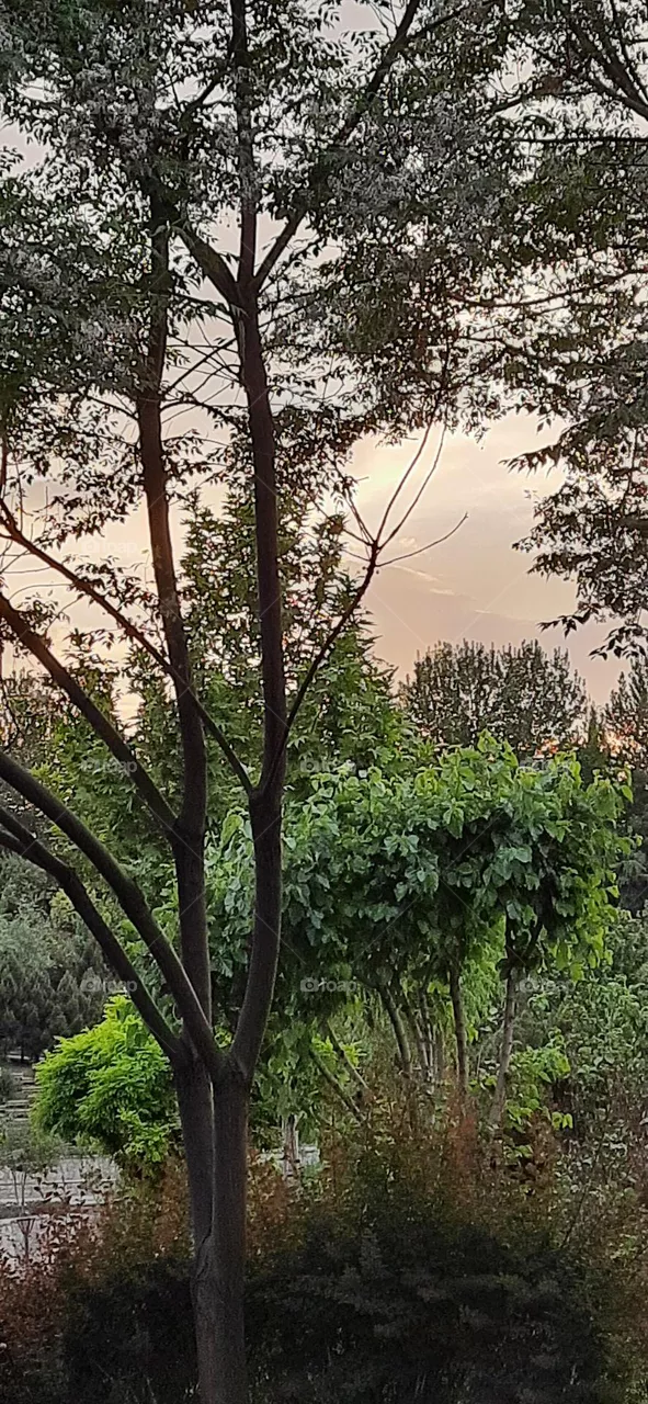 nature