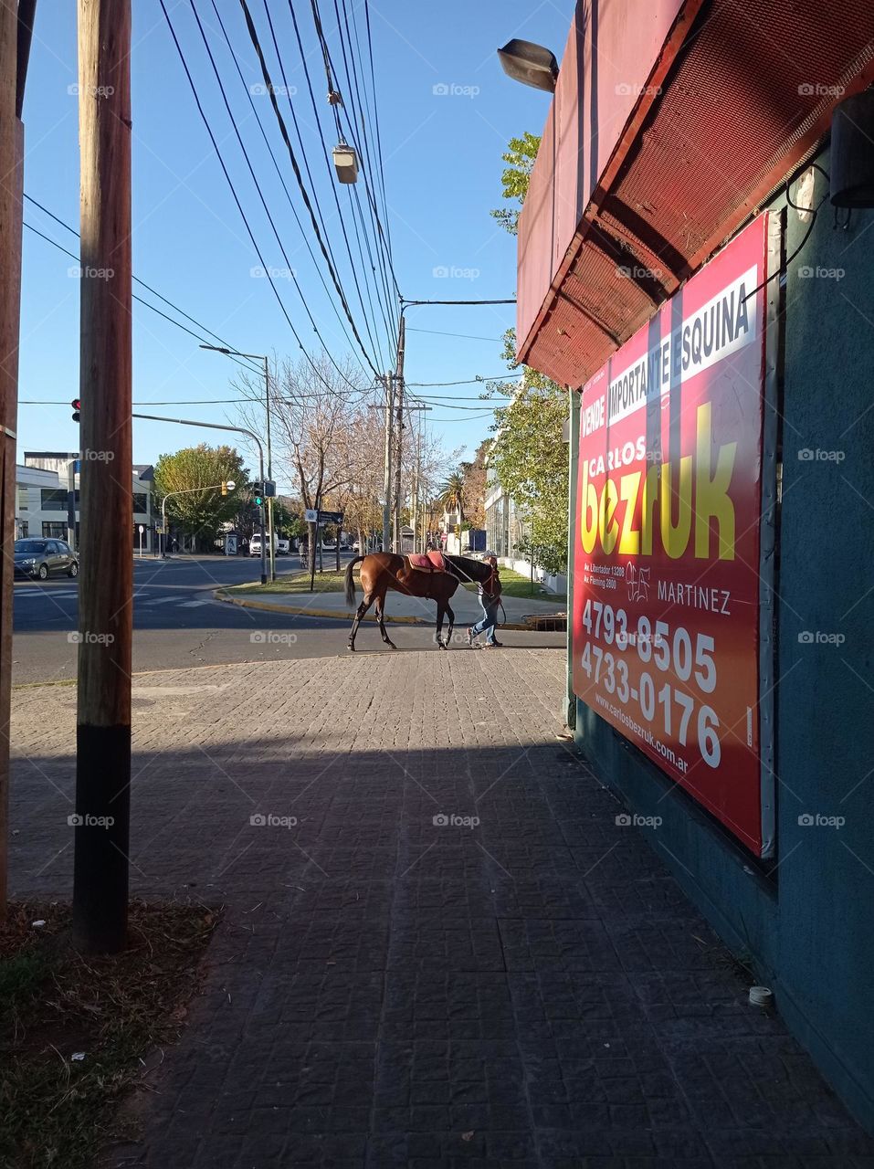 horse in town / Caballo en la ciudad