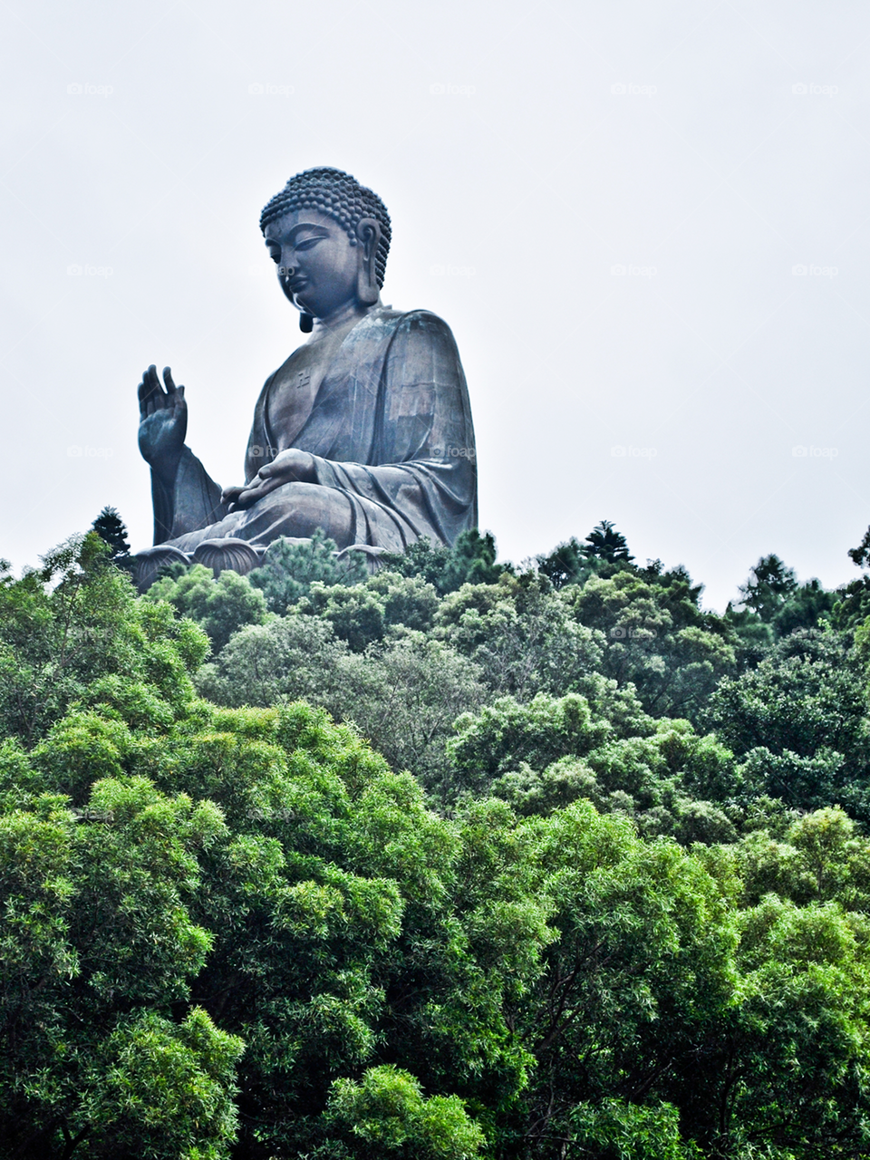 Buddha statue surrounded by nature