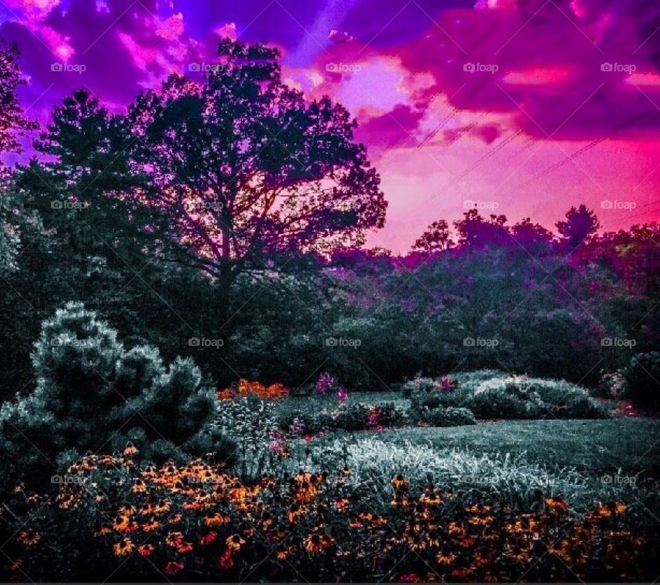 Mt.Airy Cincinnati Ohio 