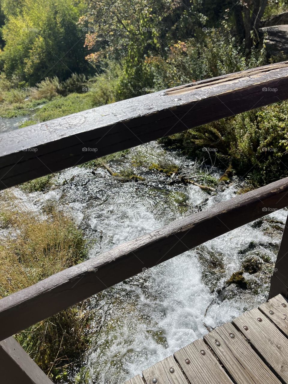 Beautiful stream in Utah 