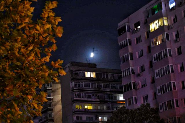Half Moon Night