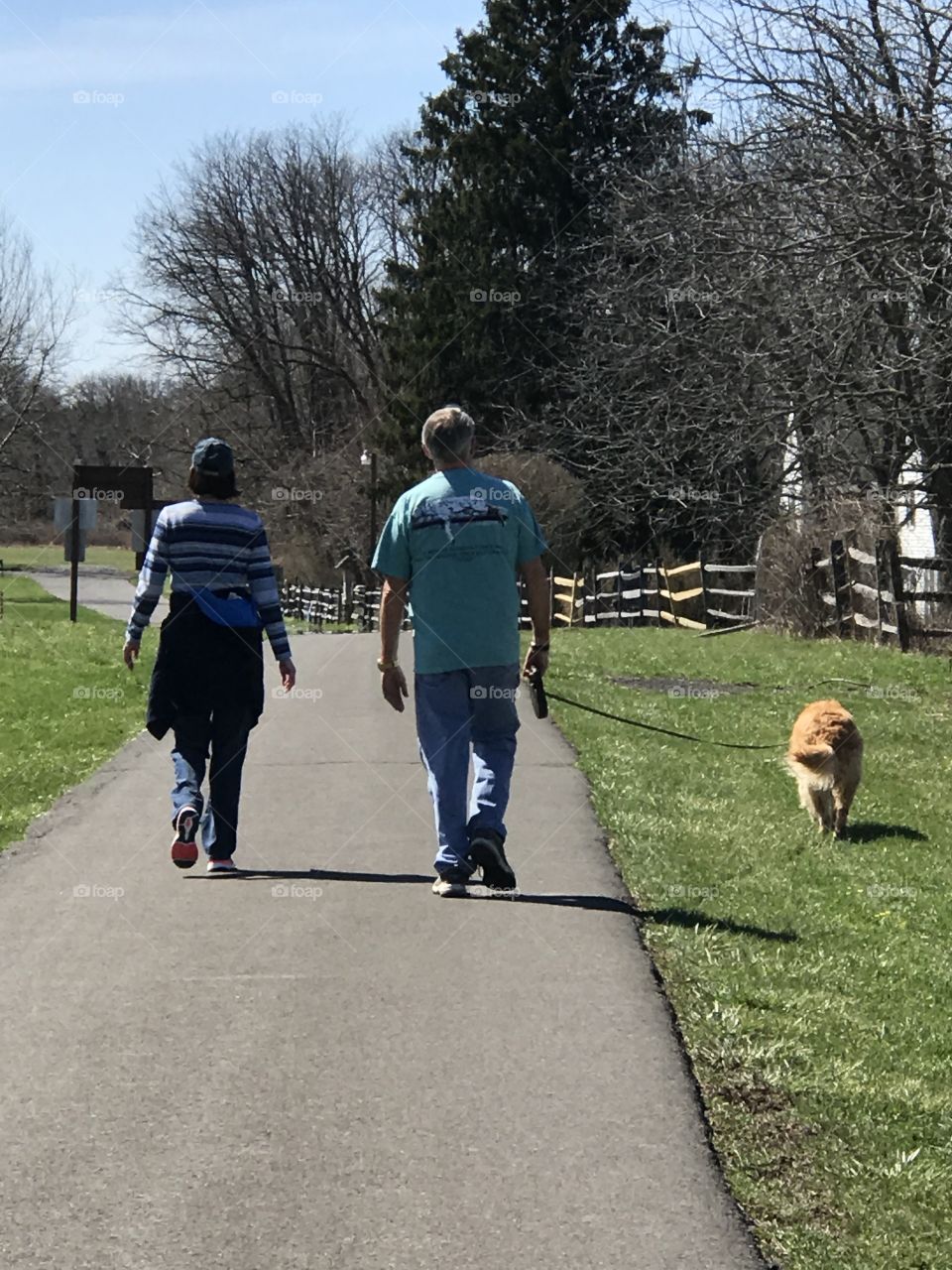 Walking Dog at Park